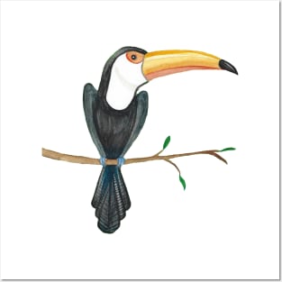 Watercolor tropical toucan design Posters and Art